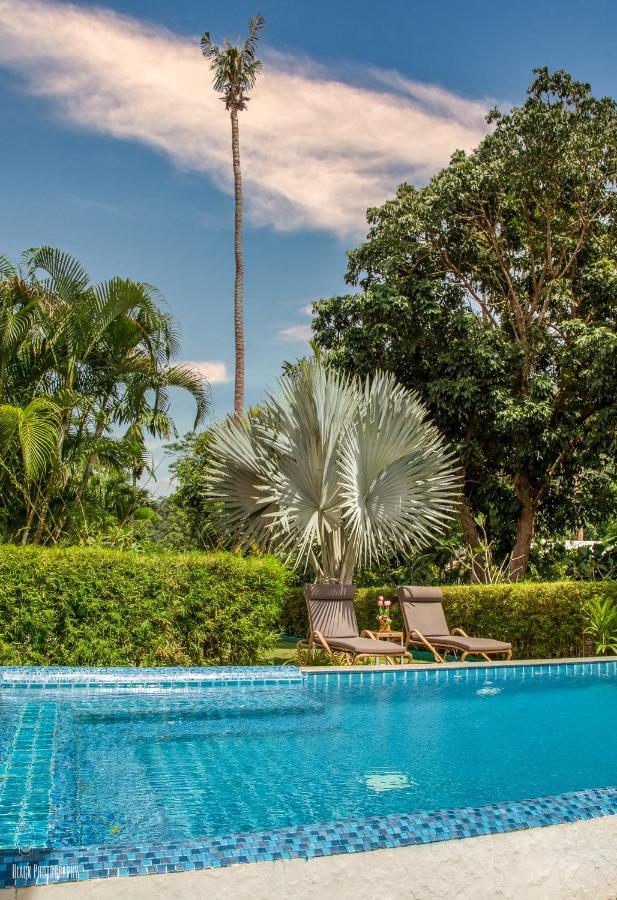 Apartemen Filou Butterfly Pool Access 29 66