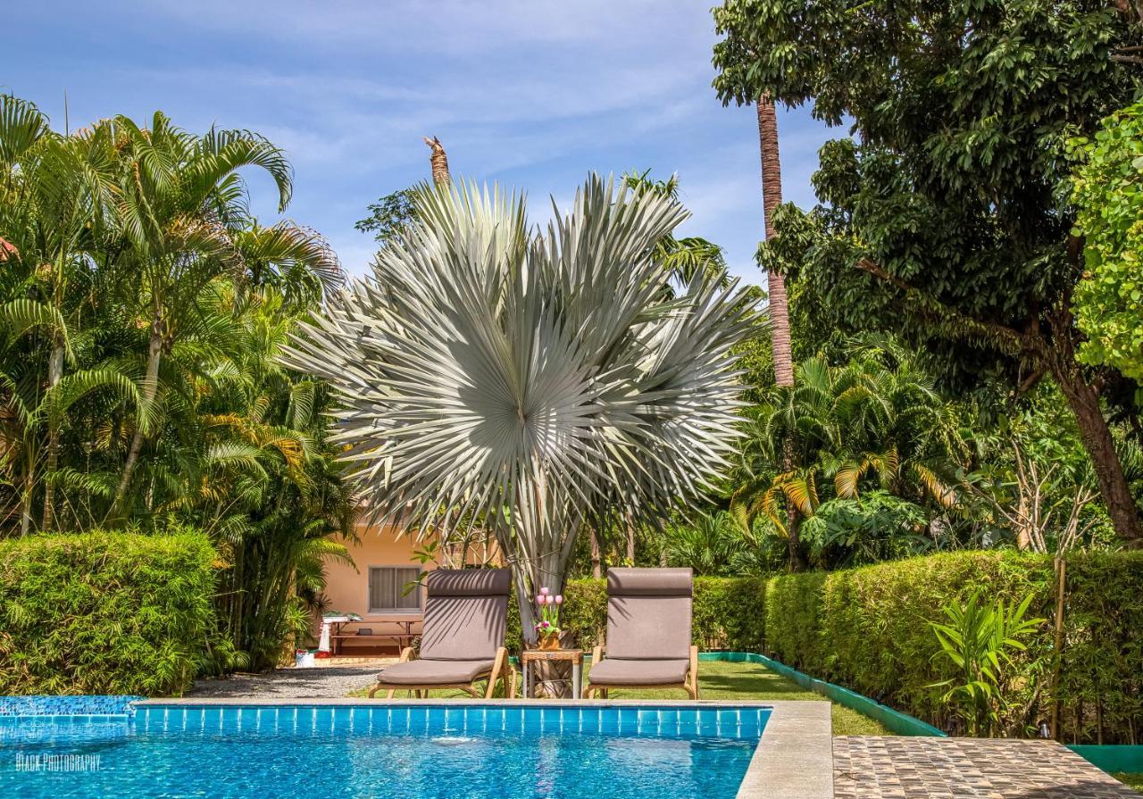 Filou Butterfly Pool Access 29 66 Apartemen Koh Chang